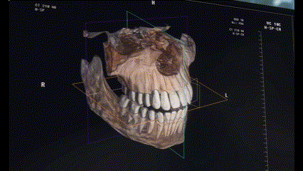 3Dシミュレーションシステム